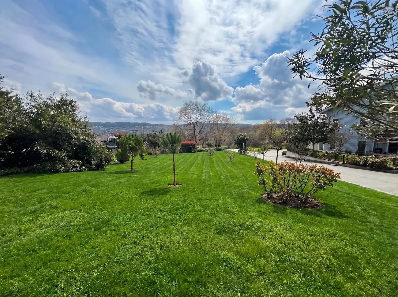 Mature gardens